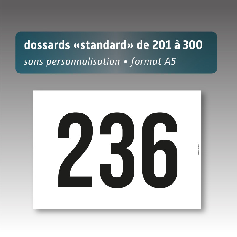 Lot de dossards - format A5 - numérotés de 201 à 300