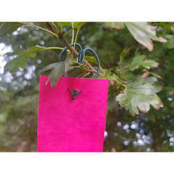 Bande de rubalise réutilisable sans toile de nuit.