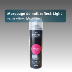 Bombe de peinture de marquage de nuit pour la sécurité de nuit pas cher
