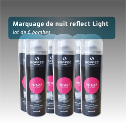 Bombe de peinture de marquage de nuit pour la sécurité de nuit pas cher