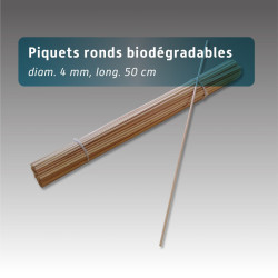 Piquets en bois de hêtre 50 cm (Ø 4 mm) – Lot de 100 | Balisage biodégradable écologique