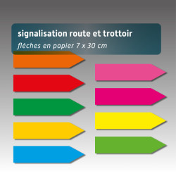 Lot de 50 - Flèche signalisation et trottoir en papier - 9 couleurs différentes - 7*30cm