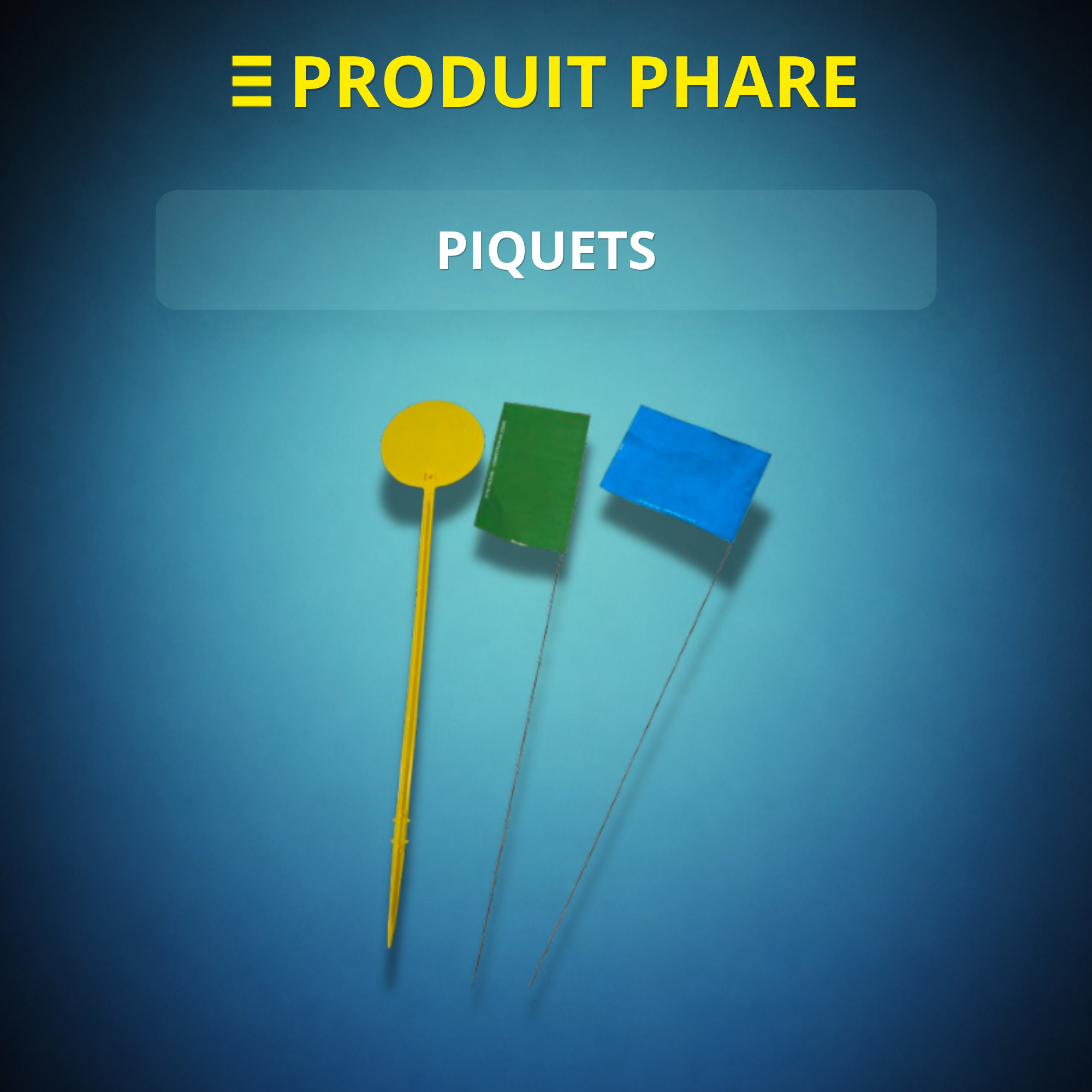 PIQUETS