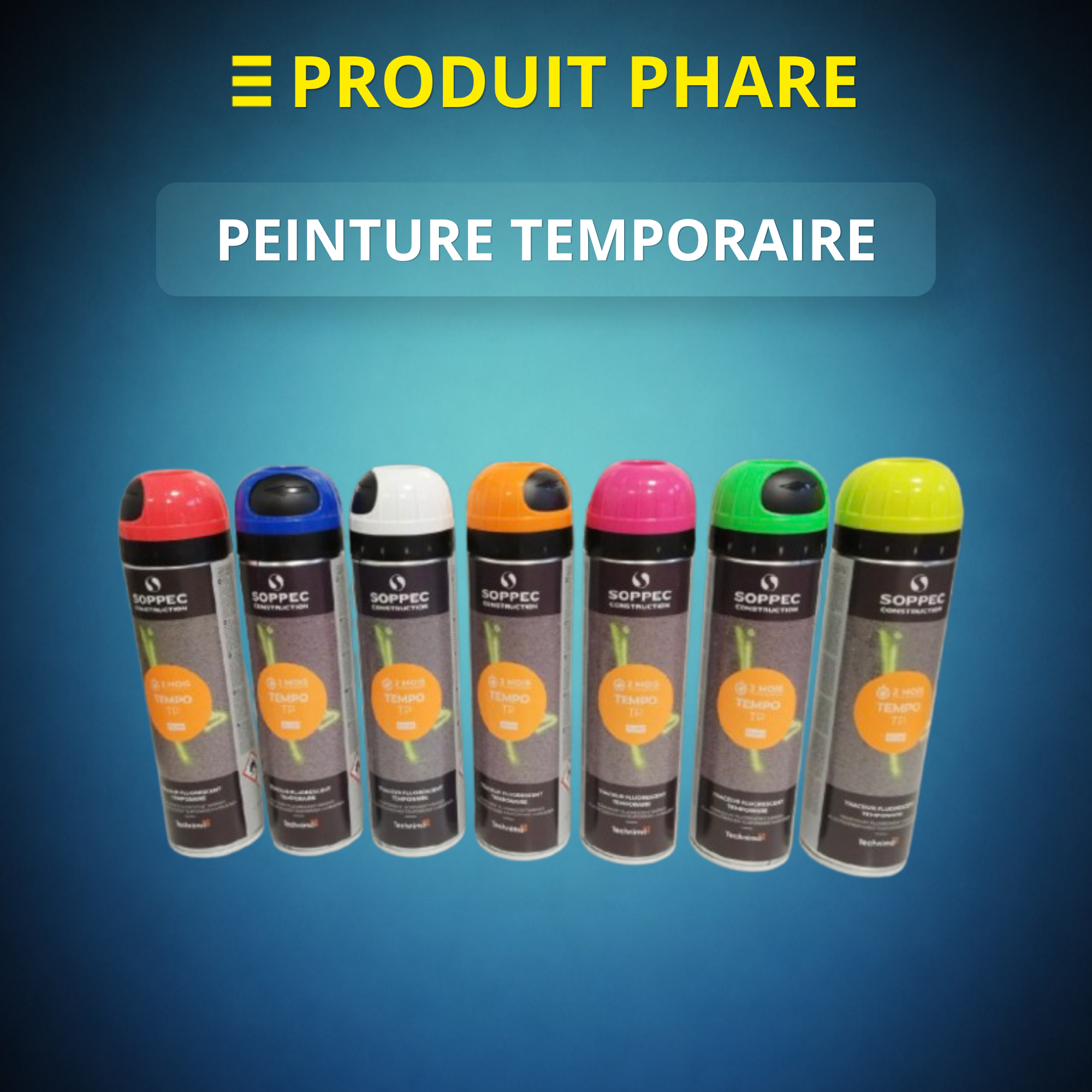 PEINTURE TEMPORAIRE