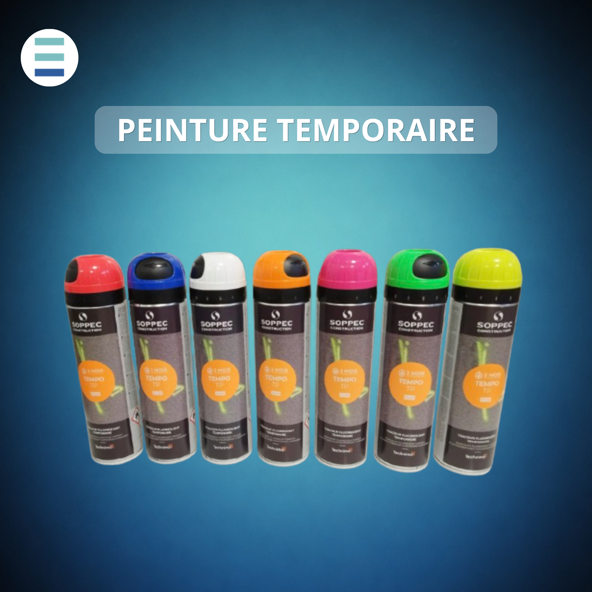 PEINTURE TEMPORAIRE